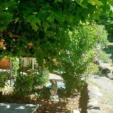 Le Zen River 시노드